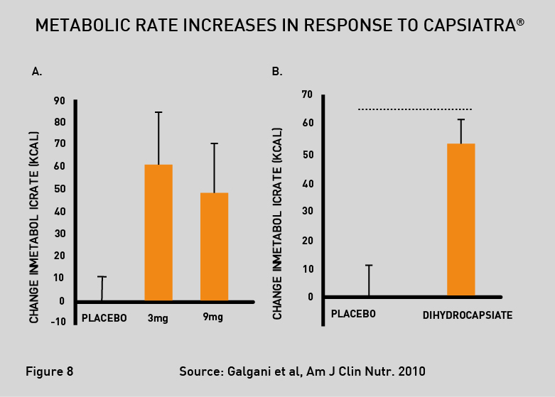 Thermo detonator steam free cena